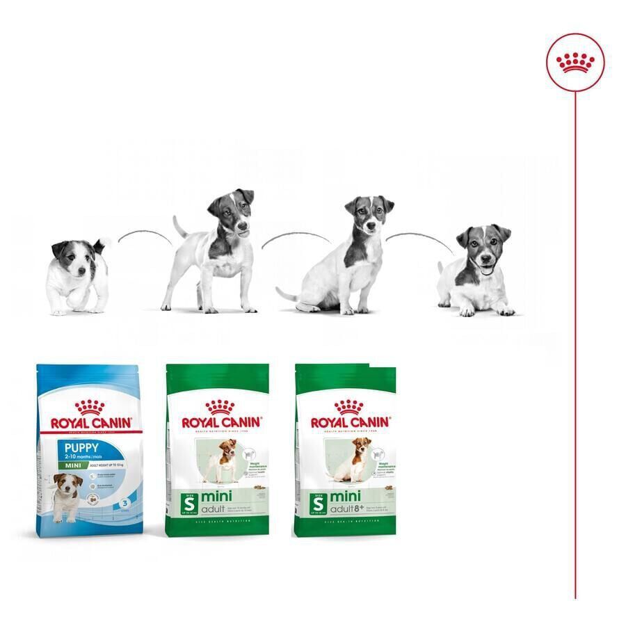 2 x 9 kg ( 8 + 1 kg &iexcl;gr&aacute;tis!) Royal Canin Mini Adult ra&ccedil;&atilde;o para c&atilde;es Pack poupan&ccedil;a!, , large Imagem n&uacute;mero 11