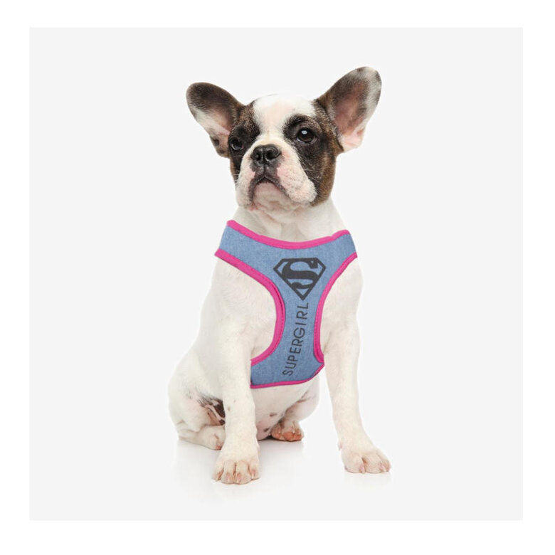 DC Peitoral Supergirl para cães, , large image number null
