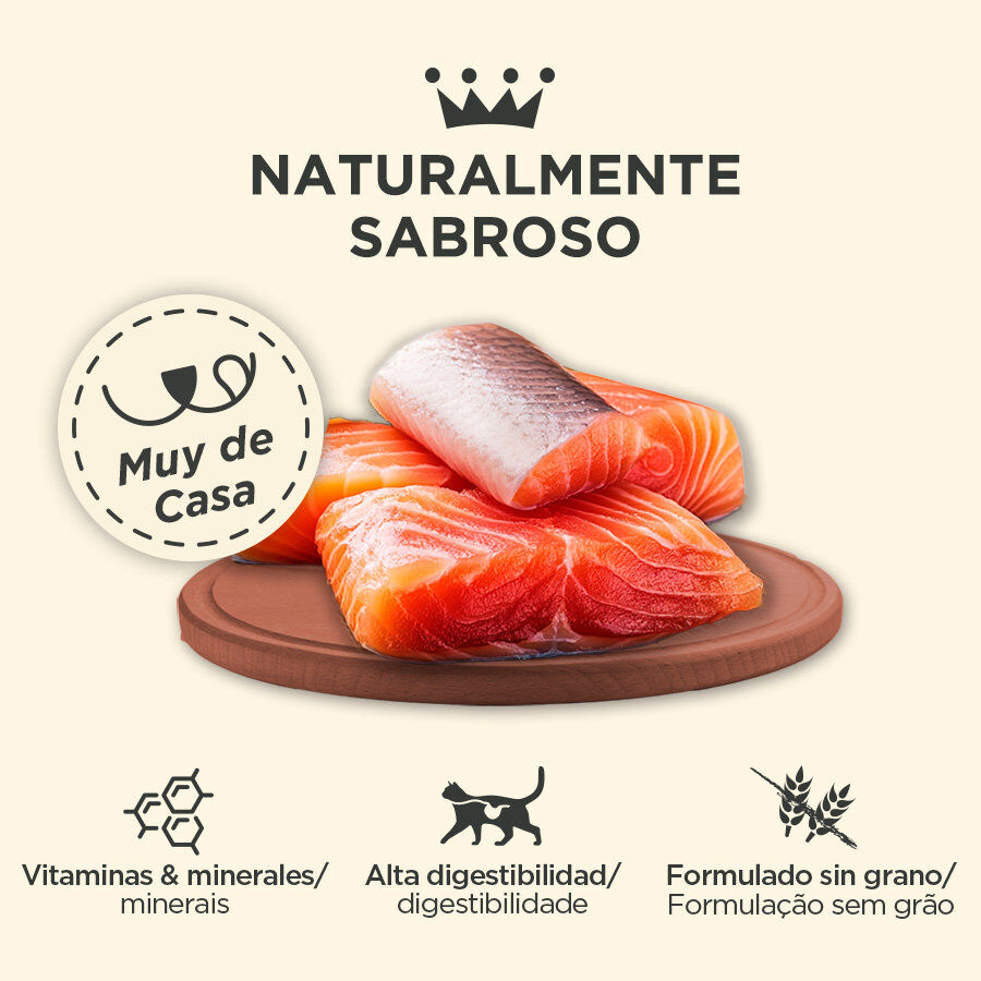 400 g Criadores Adulto com Salm&atilde;o lata para gatos, , large Imagem n&uacute;mero 3