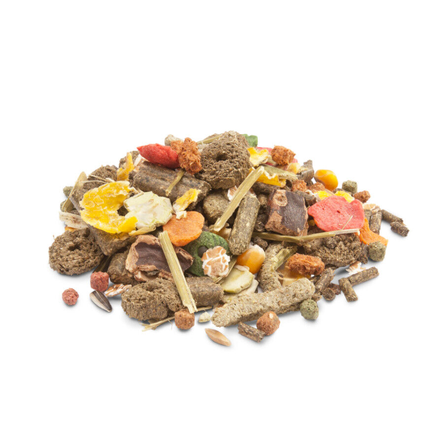 Versele-Laga Crispy Muesli ra&ccedil;&atilde;o para coelhos, , large Imagem n&uacute;mero 2