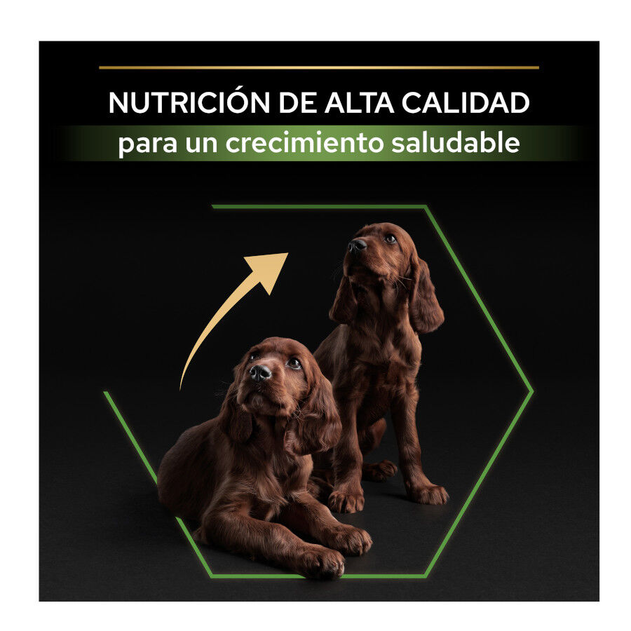 12 kg Pro Plan Puppy Large Athletic Frango ra&ccedil;&atilde;o para c&atilde;es, , large Imagem n&uacute;mero 8