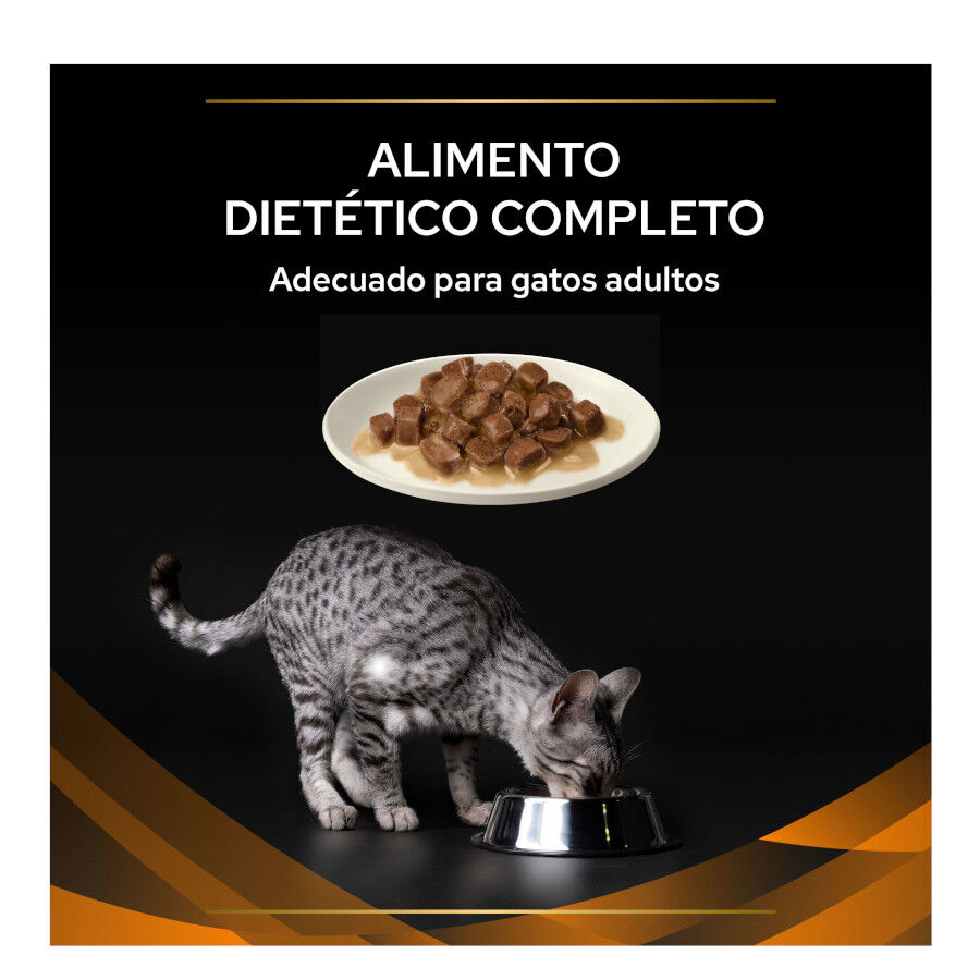 10 uds. x 85 g Purina Pro Plan Veterinary Diets Obesity Alimento h&uacute;mido de frango em saqueta para gatos , , large Imagem n&uacute;mero 4