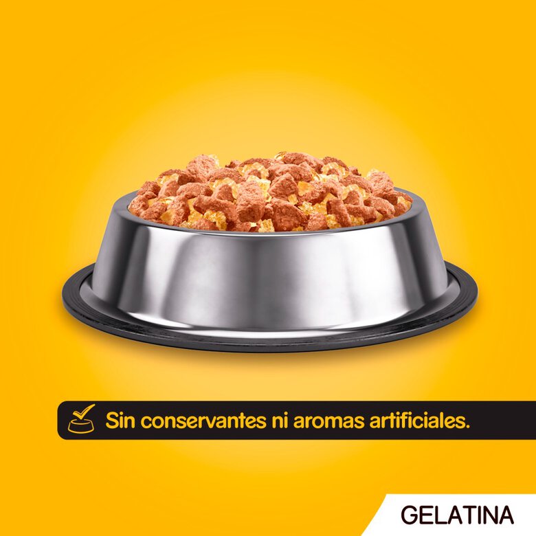4 saquetas x 100 g Pedigree Alimento húmido de frango e peixe para cães,  Imagem número 2 4 saquetas x 100 g Pedigree Alimento húmido de frango e peixe para cães, , large Imagem número 2