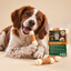 1.5 kg True Origins Wild Ossos com Frango Snack para c&atilde;es, , large Indicador imagem n&uacute;mero 7
