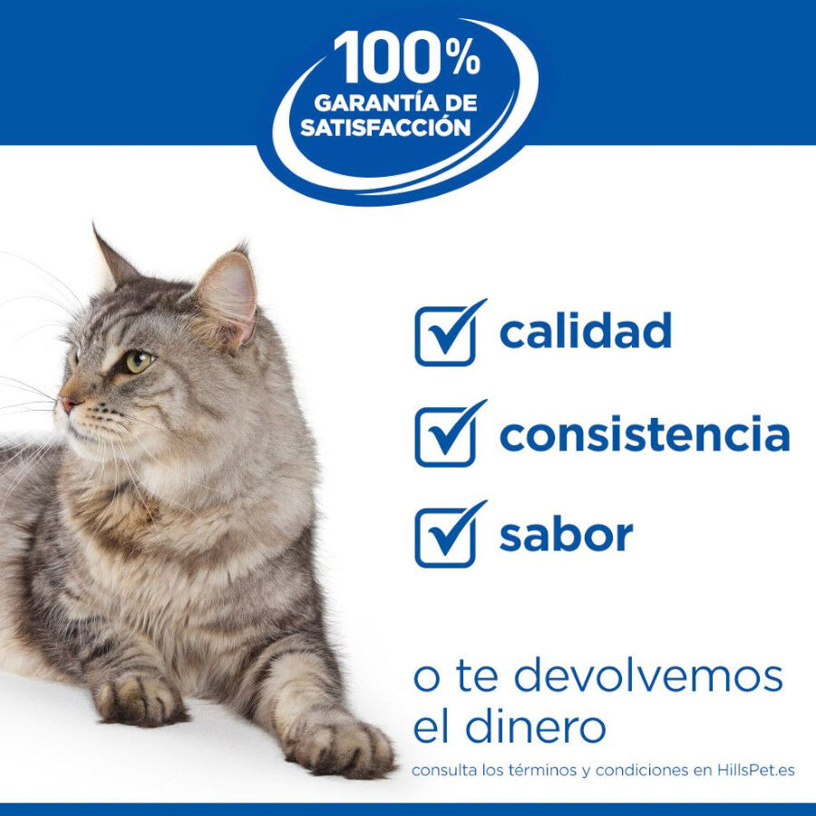 1.5 kg Hill's Science Plan Youthful Vitality Frango ra&ccedil;&atilde;o para gatos, , large Imagem n&uacute;mero 8