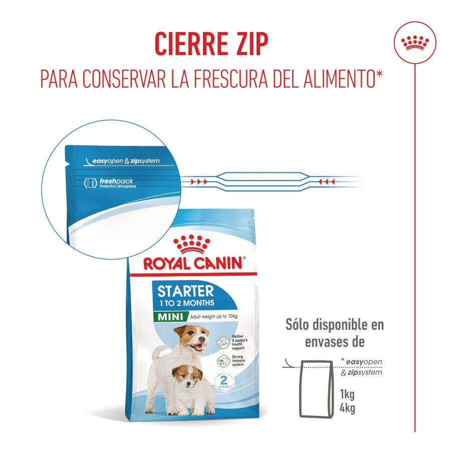 Royal Canin Mini Starter MothereBaby ra&ccedil;&atilde;o para c&atilde;es, , large Imagem n&uacute;mero 11
