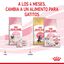 10 kg Royal Canin Mother & Baby ração para gatos, , large Indicador imagem número 9