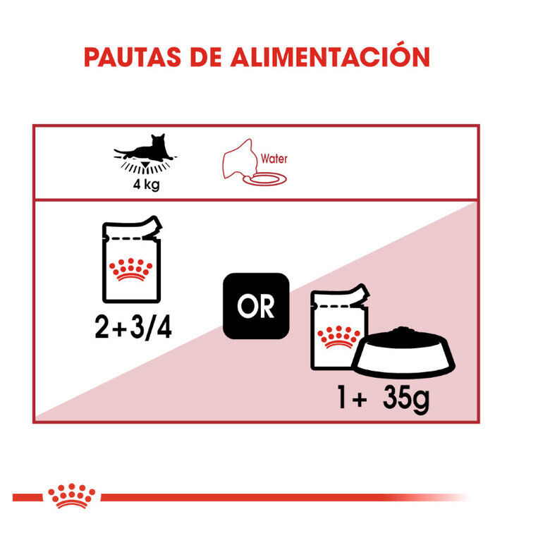 24 saquetas x 85 g Royal Canin Instinctive pat&ecirc; saqueta para gatos Pack poupan&ccedil;a!, , large Imagem n&uacute;mero 7