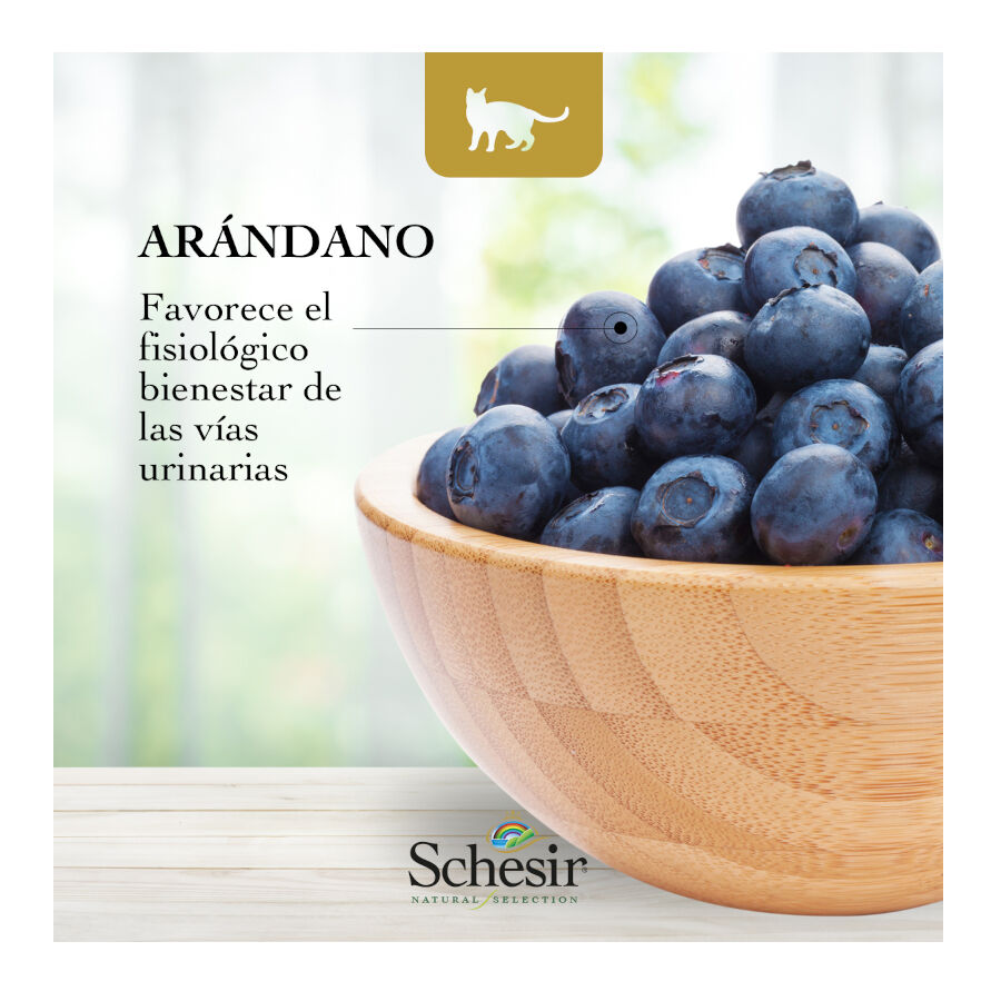 1.4 kg Schesir Adult Natural Selection Frango ra&ccedil;&atilde;o para gatos, , large Imagem n&uacute;mero 5