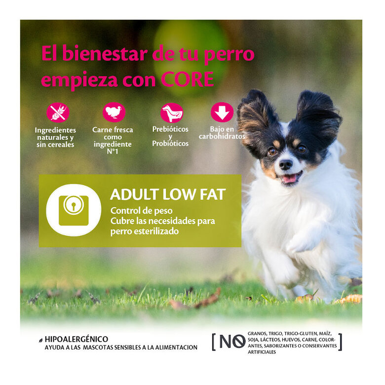 Wellness Core Adult Small Healthy Peru ração para cães , , large image number null