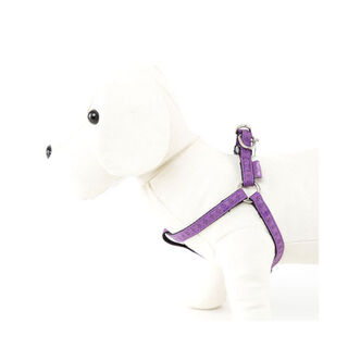 MacLeather Classic Arnês Lilás para cães