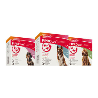 Beaphar FiproTec Pipetas Antiparasitárias para cães de raça pequena