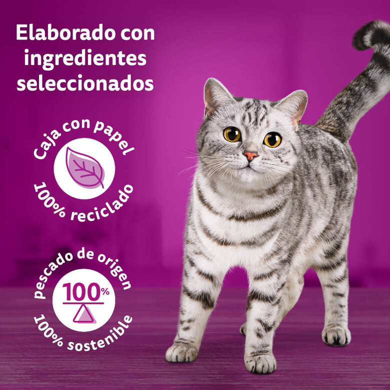 12 saquetas x 85 g Whiskas Tasty Mix Country Patê em molho saquetas para gatos,  Imagem número 2 12 saquetas x 85 g Whiskas Tasty Mix Country Patê em molho saquetas para gatos, , large Imagem número 2