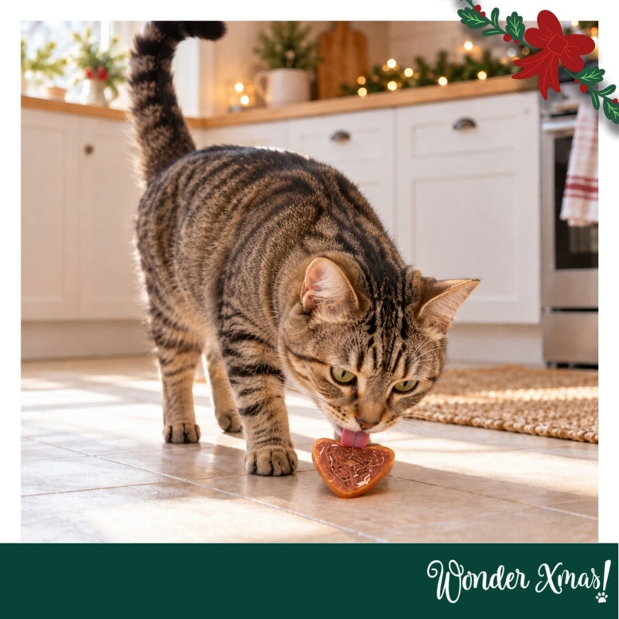 1 pacote Wonder Christmas Cora&ccedil;&otilde;es de Frango Snacks para gatos, , large Imagem n&uacute;mero 2