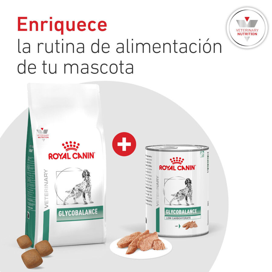 7 kg Royal Canin Veterinary Diabetic ra&ccedil;&atilde;o para c&atilde;es , , large Imagem n&uacute;mero 9