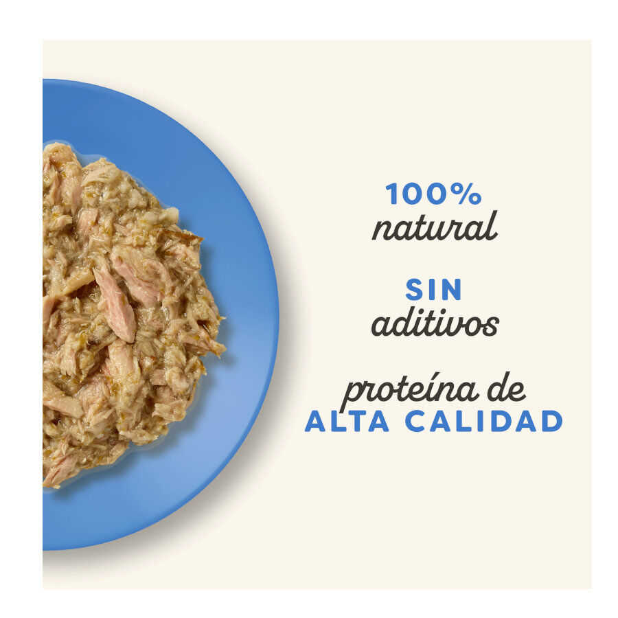 12 saquetas x 70 g Applaws Selecci&oacute;n de Peixe saqueta para gatos - Multipack, , large Imagem n&uacute;mero 2