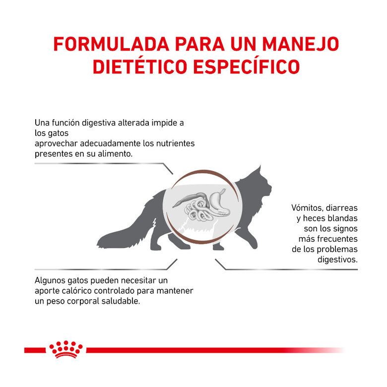 4 kg Royal Canin Veterinary Gastrointestinal Moderate Calorie ração para gatos,  Imagem número 4 4 kg Royal Canin Veterinary Gastrointestinal Moderate Calorie ração para gatos, , large Imagem número 4