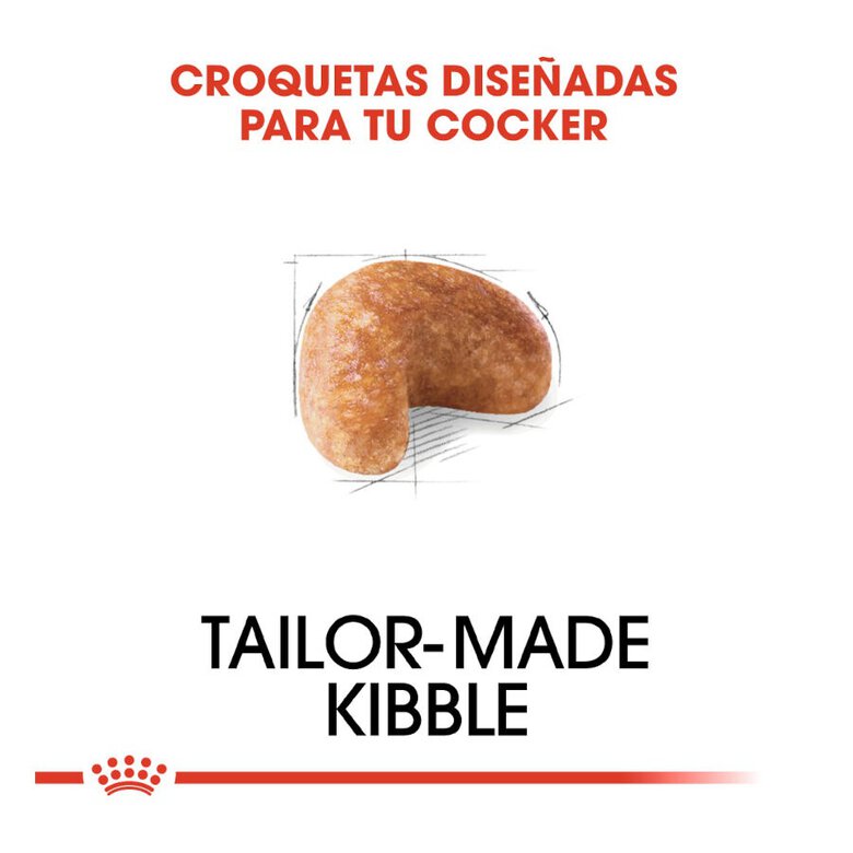 12 kg Royal Canin Adult Cocker ração para cães,  Imagem número 5 12 kg Royal Canin Adult Cocker ração para cães, , large Imagem número 5