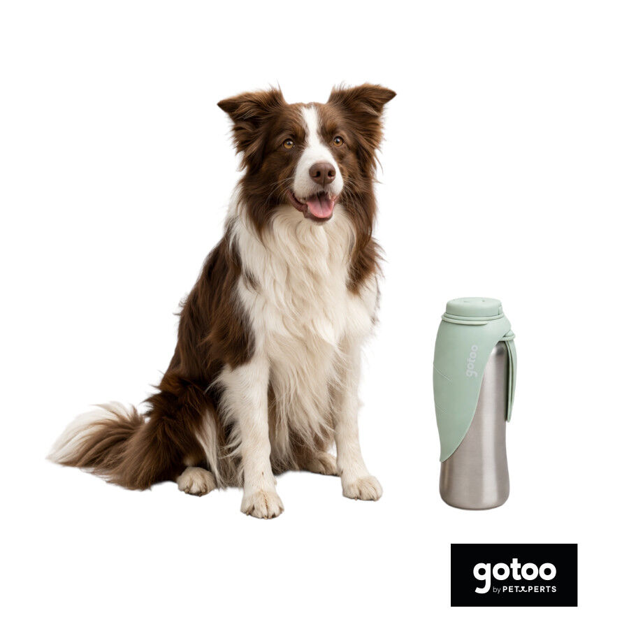 Gotoo Garrafa Bebedouro Port&aacute;til em A&ccedil;o Inoxid&aacute;vel Verde para c&atilde;es, , large Imagem n&uacute;mero 7