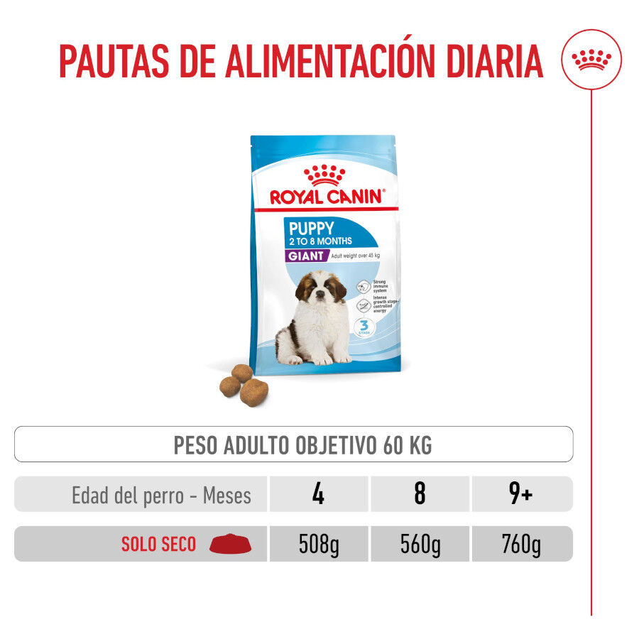 15 kg Royal Canin Puppy Giant ra&ccedil;&atilde;o para c&atilde;es, , large Imagem n&uacute;mero 6