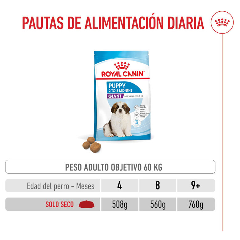 15 kg Royal Canin Puppy Giant ração para cães,  Imagem número 6 15 kg Royal Canin Puppy Giant ração para cães, , large Imagem número 6