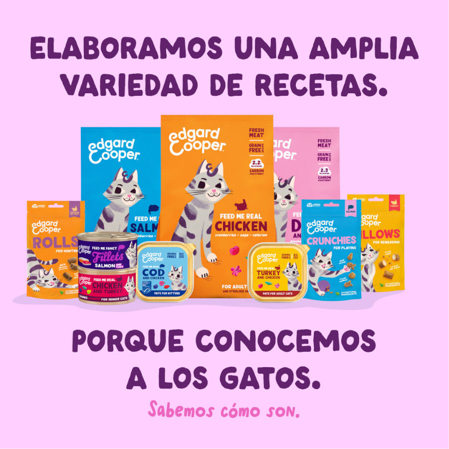 70 g Edgard & Cooper Filetes de Salm&oacute;n y Pollo Lata para gatos, , large Imagem n&uacute;mero 8