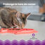 Outward Hound Catstages Fishie Fun Peixe Brinquedo Dispensador de alimentos para gatos, , large Indicador imagem número 4