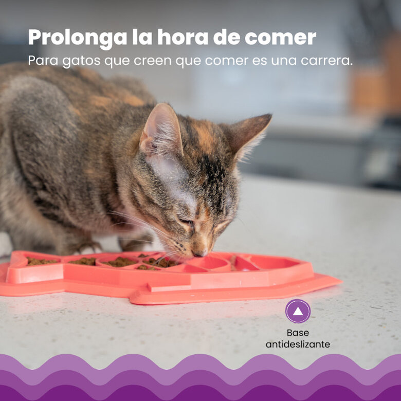 Catstages Fishie Fun Peixe Brinquedo Dispensador de alimentos para gatos,  Imagem número 4 Catstages Fishie Fun Peixe Brinquedo Dispensador de alimentos para gatos, , large Imagem número 4