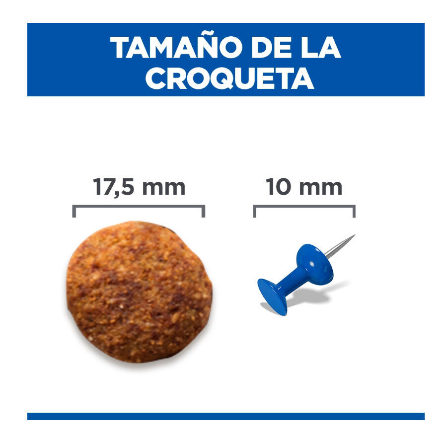 12 kg Hill's Science Plan Perfect Weight y Active Mobility frango ra&ccedil;&atilde;o para c&atilde;es, , large Imagem n&uacute;mero 4