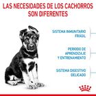 Royal Canin Puppy Maxi ração para cães, , large image number null
