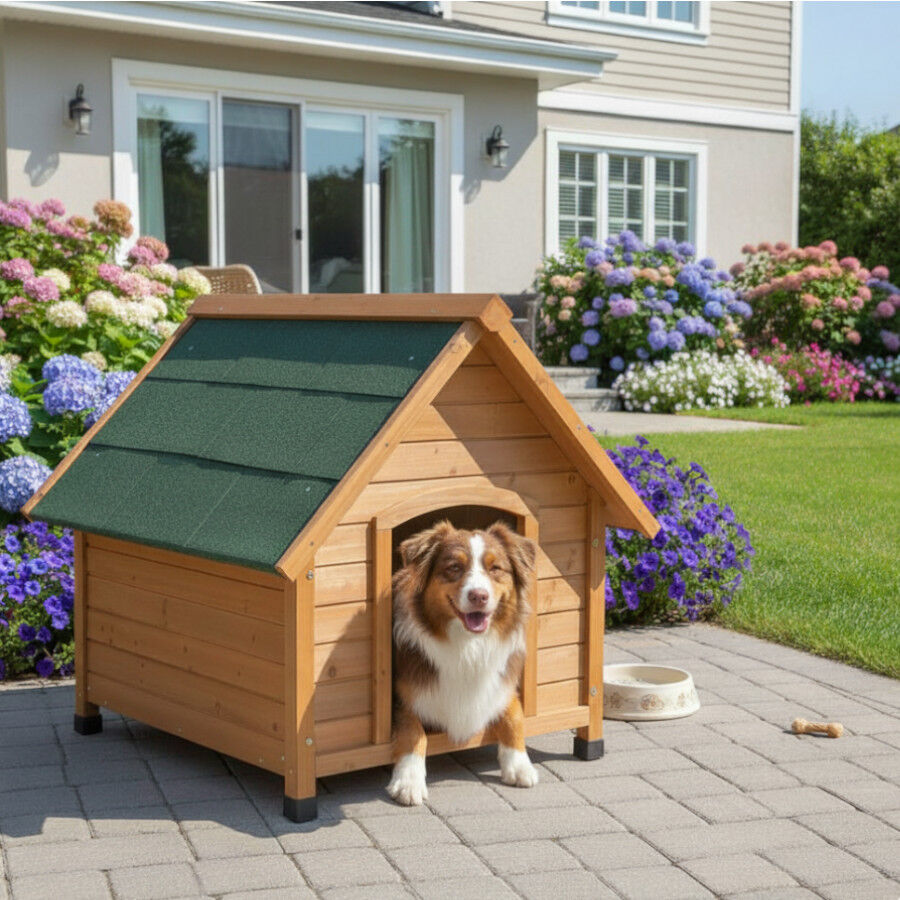 Tk-Pet Makalu Casota para c&atilde;es, , large Imagem n&uacute;mero 1