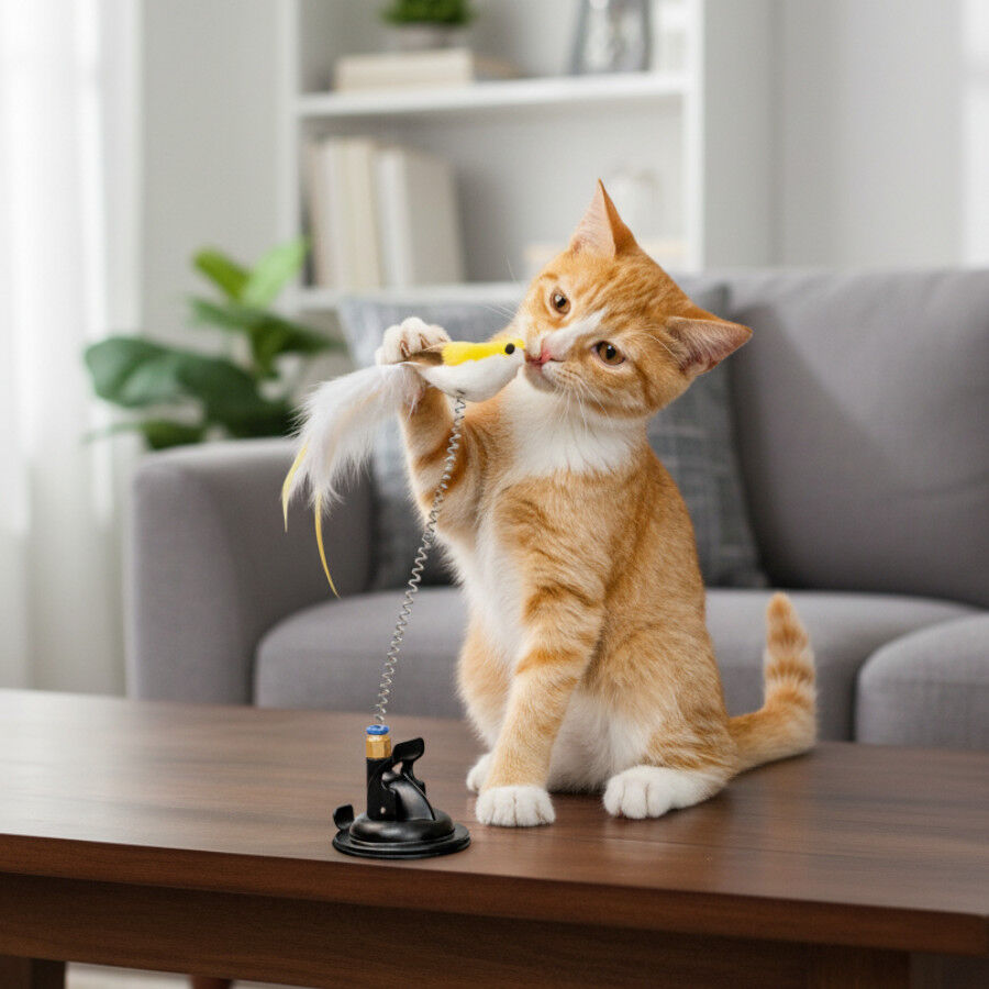 PLAYOLOGY BRINQUEDO P&Aacute;SSARO COM MOLA E VENTOSA PARA GATOS, , large Imagem n&uacute;mero 3