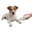 All For Paws Pet Salon Lixa de unhas para cães e gatos, , large Indicador imagem número 3