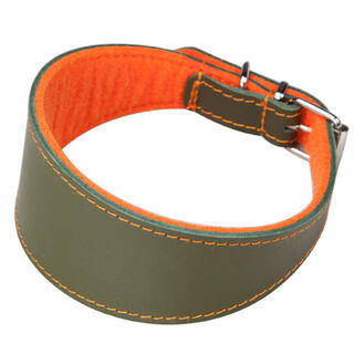 Arppe Superfelt coleira para galgos