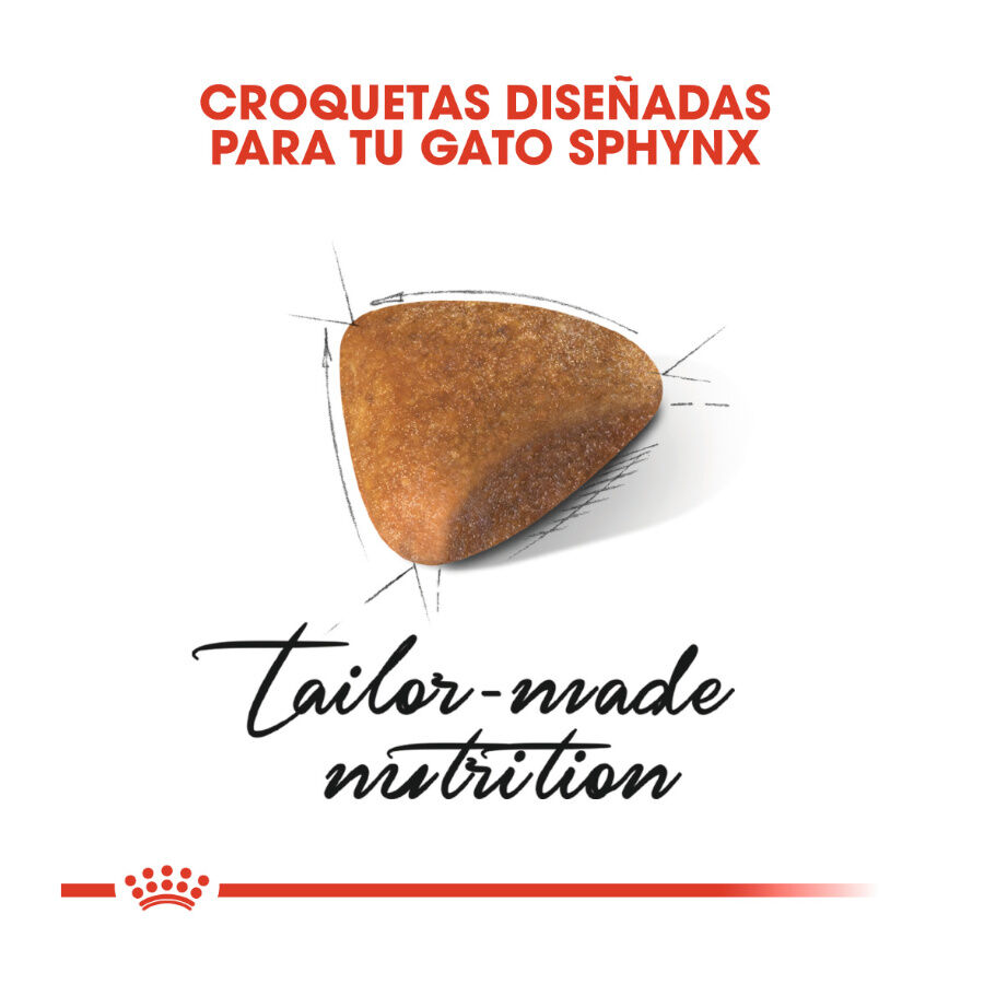 10 kg Royal Canin Adult Sphynx ra&ccedil;&atilde;o para gatos, , large Imagem n&uacute;mero 5