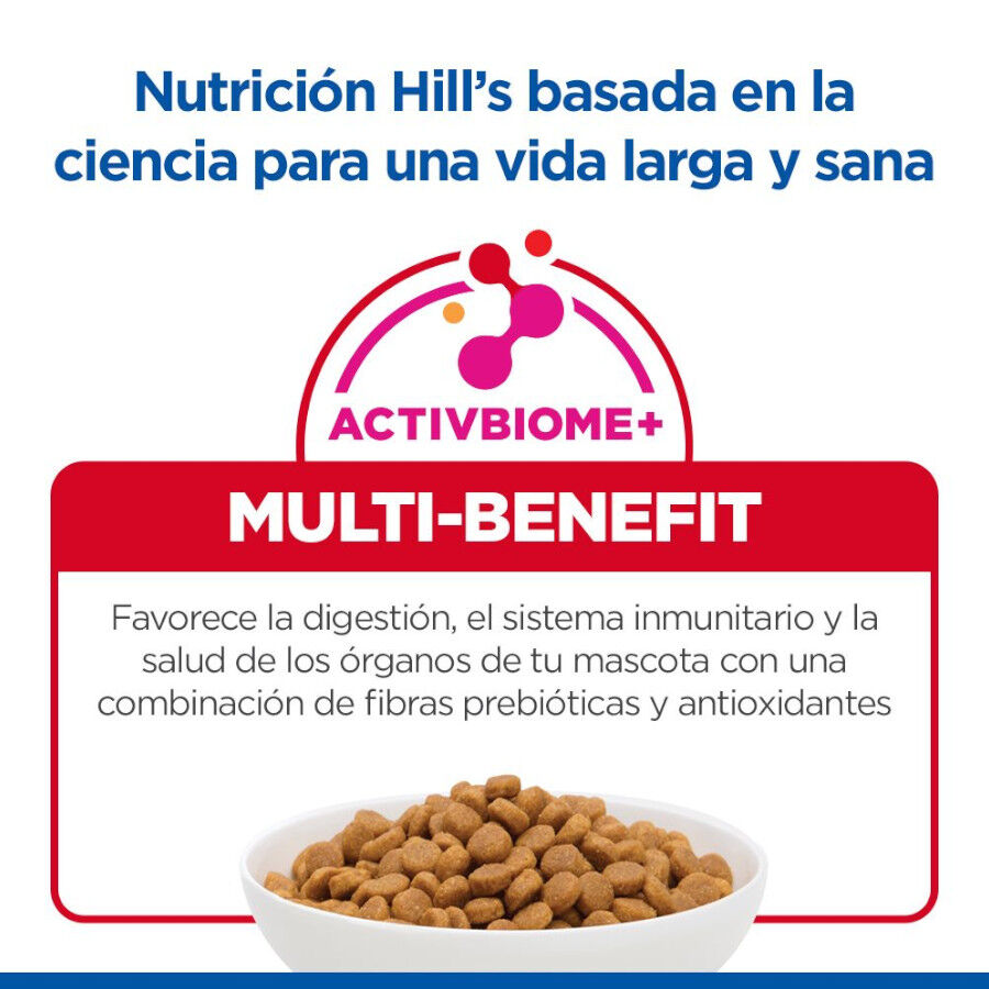 2 x 14 kg Hill's Science Plan Adult Medium Cordeiro e Arroz ra&ccedil;&atilde;o para c&atilde;es Pack poupan&ccedil;a!, , large Imagem n&uacute;mero 7