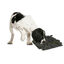 Flamingo Tapete Olfativo para cães, , large Indicador imagem número 2