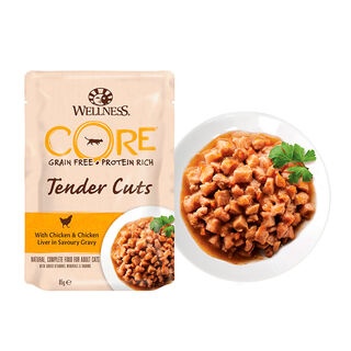 Wellness Core Tender Cuts frango saquetas para gatos 