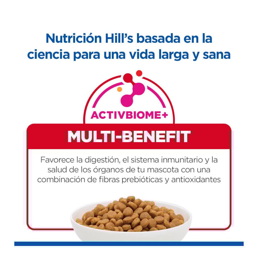 18 kg Hill's Science Plan Large Adult Frango ra&ccedil;&atilde;o para c&atilde;es, , large Imagem n&uacute;mero 7