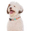 Dukier Peace coleira para cães, , large Indicador imagem número 2