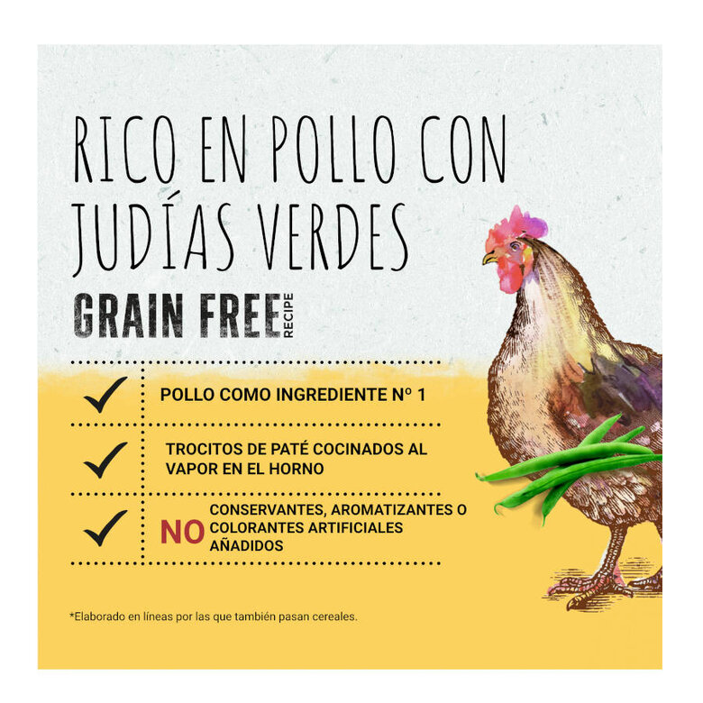 400 g Beyond Grain Free Lata vários Sabores,  Imagem número 2 400 g Beyond Grain Free Lata vários Sabores, , large Imagem número 2