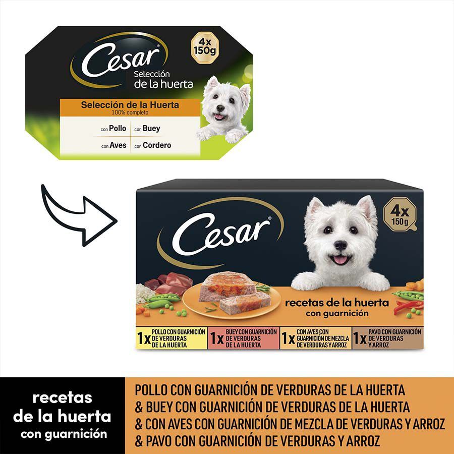 4 terrinas x 150 g Cesar Recetas da horta Terrina em Pat&ecirc; e Geleia para C&atilde;es - Multipack, , large Imagem n&uacute;mero 2