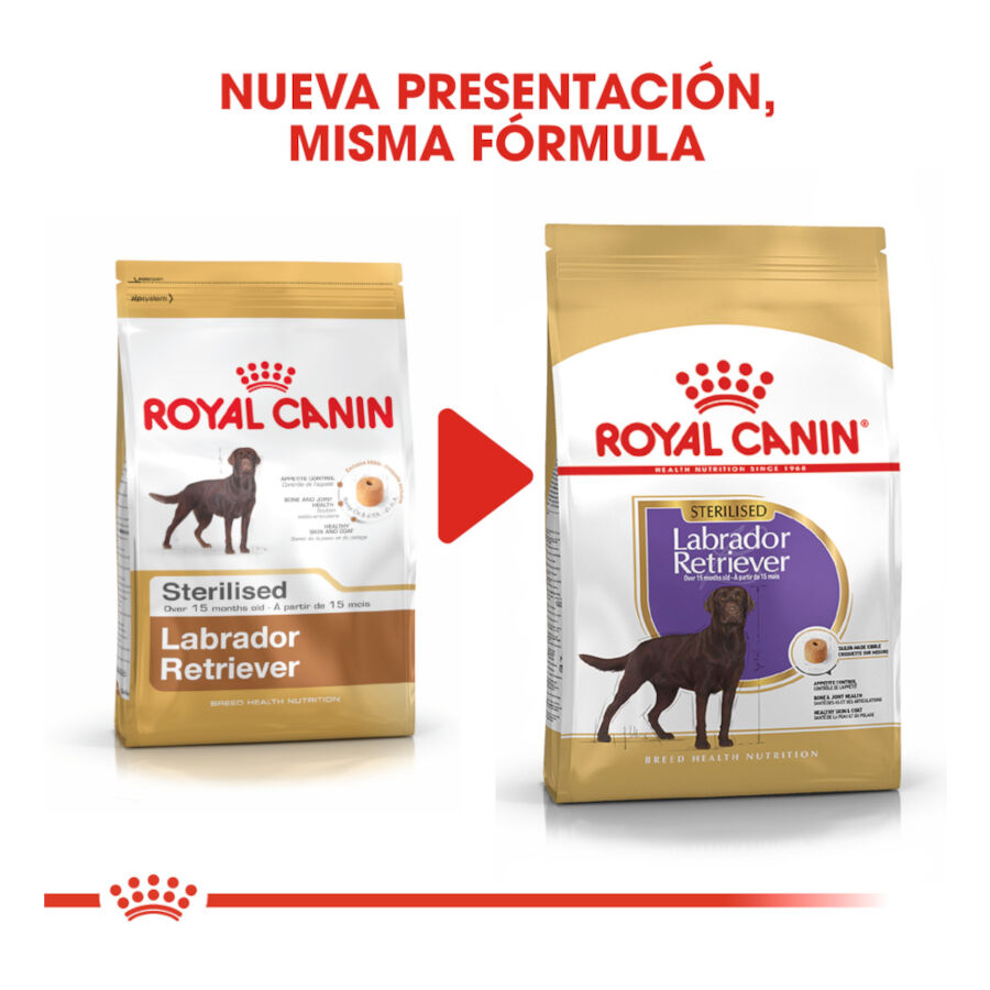 12 kg Royal Canin Adult Labrador Sterilised ra&ccedil;&atilde;o para c&atilde;es, , large Imagem n&uacute;mero 3