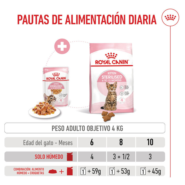85 g Royal Canin Kitten Sterilised Saquetas de Gelatina para gatinhos,  Imagem número 7 85 g Royal Canin Kitten Sterilised Saquetas de Gelatina para gatinhos, , large Imagem número 7