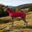 Gotoo Casaco Imperme&aacute;vel Vermelho para galgos, , large Indicador imagem n&uacute;mero 1