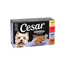 Cesar Mistura de Carnes Terrina em Geleia para C&atilde;es S&eacute;nior - Multipack