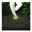 JBL 7 Kugeln Fertilizante para Plantas de aquário, , large Indicador imagem número 5
