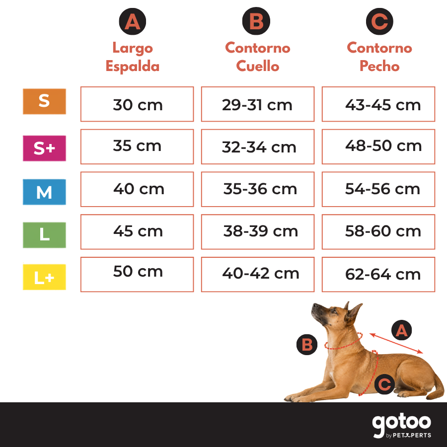 Gotoo Casaco com Padr&atilde;o Zigzag para c&atilde;es, , large Imagem n&uacute;mero 5