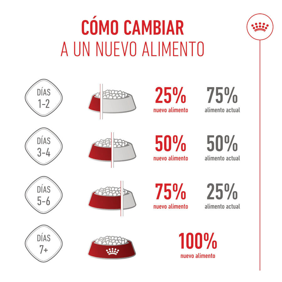 10 kg Royal Canin Mother & Baby ra&ccedil;&atilde;o para gatos, , large Imagem n&uacute;mero 10