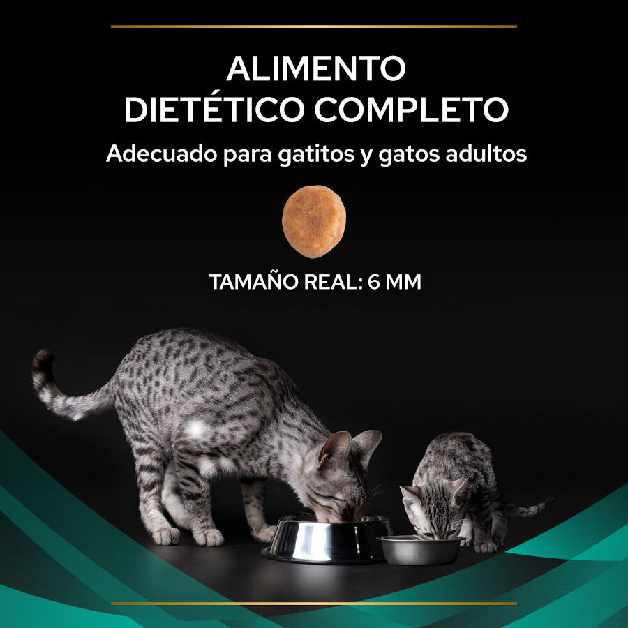 400 g Pro Plan Veterinary Diets EN Ra&ccedil;&atilde;o Gastrointestinal para gatos, , large Imagem n&uacute;mero 3